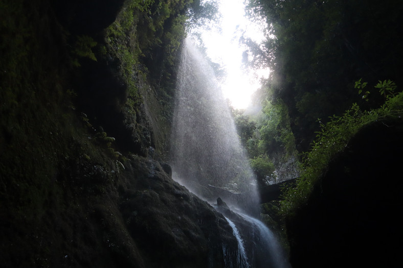 Los Tilos, La Palma, Wyspy Kanaryjskie