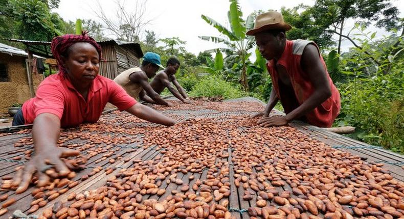 Agriculture remains the major source of employment in Ghana, even though its share in the economy has been in steady decline