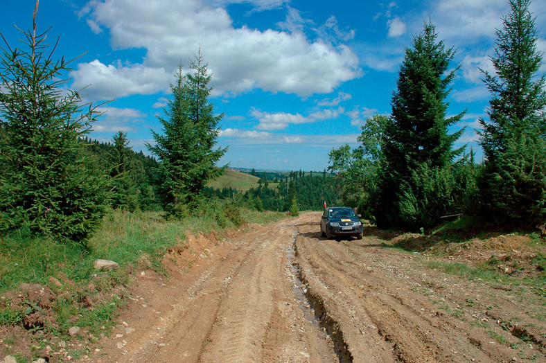 Przepisy drogowe w Rumunii