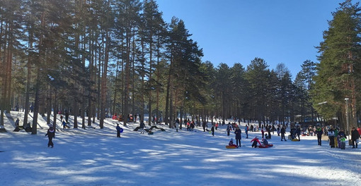 Zlatibor