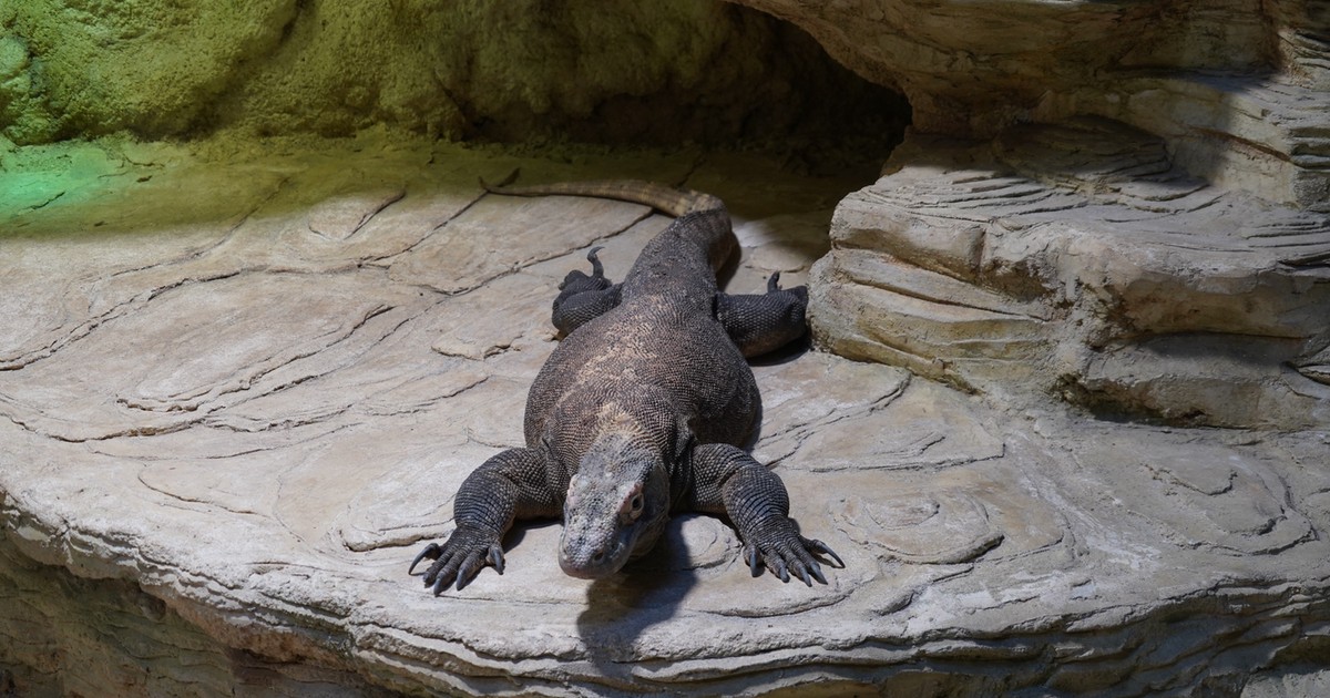 Warany będą miały nowy dom