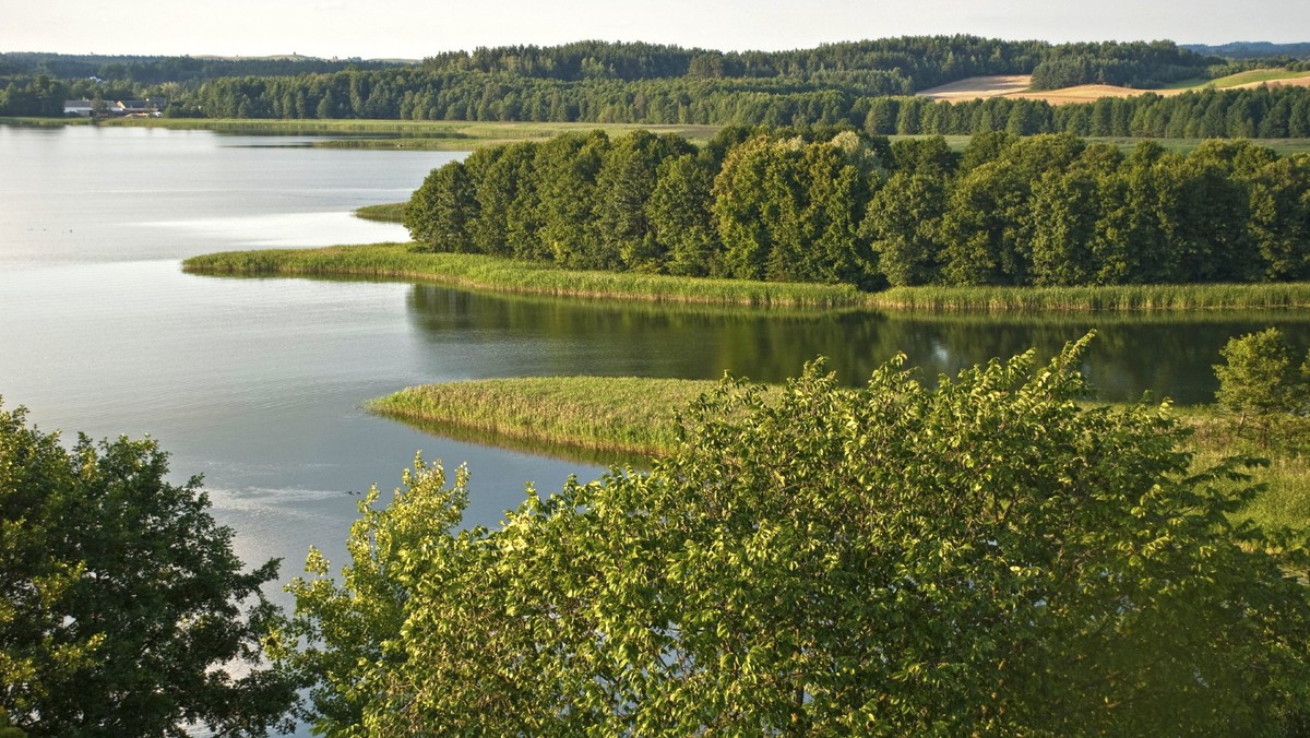 Wędzona sieja i sielawa, pstrągi, leszcze, przetwory rybne i zupa rybna dla każdego - takie przysmaki serwowane są podczas tradycyjnego Święta Siei w Wigrach k. Suwałk (Podlaskie).