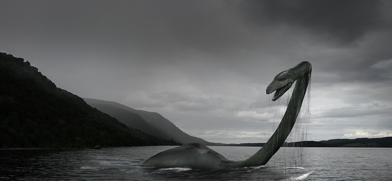 Tajemniczy stwór wyrzucony na brzeg w stanie Georgia. Wygląda jak Nessie!
