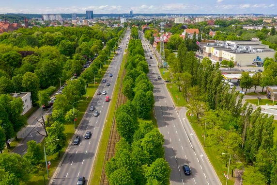 Rewitalizacja Wielkiej Alei Lipowej w Gdańsku. Ulica ma już ponad 250 lat.