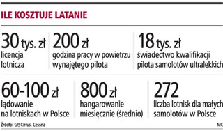 Biznes kupi 30 samolotów