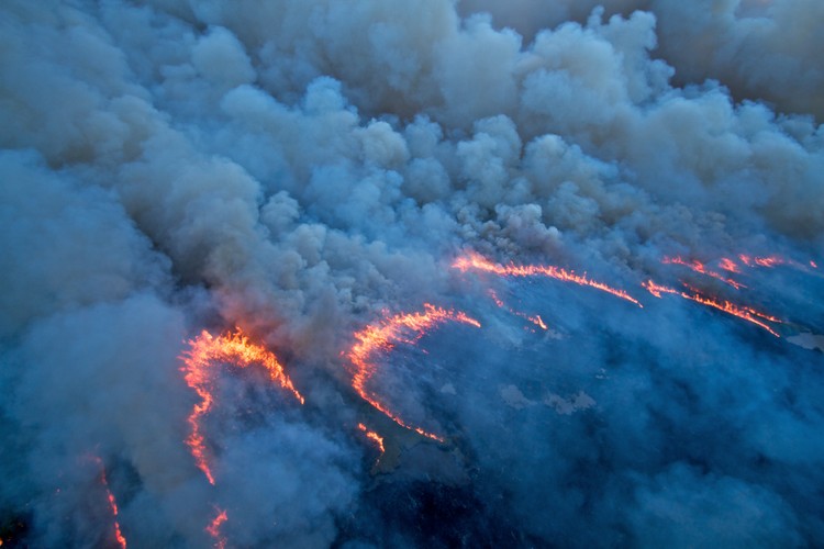 'Dzika Ameryka'. Zdjęcia z nowego serialu Discovery Channel