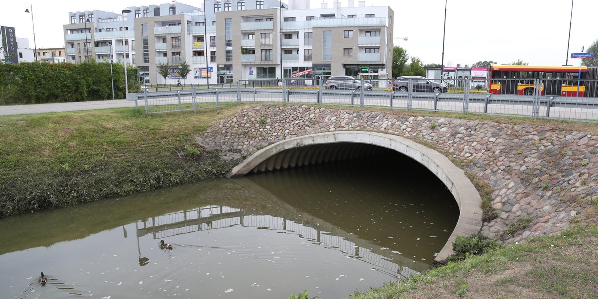 Straż Miejska szuka trucicieli potoku