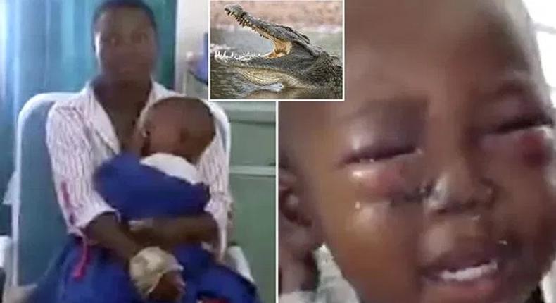 Brave woman injured as she wrestles with crocodile and rescues her son from its jaws