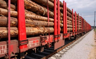 Tarcza antykryzysowa pozwoli branży drzewnej złapać oddech