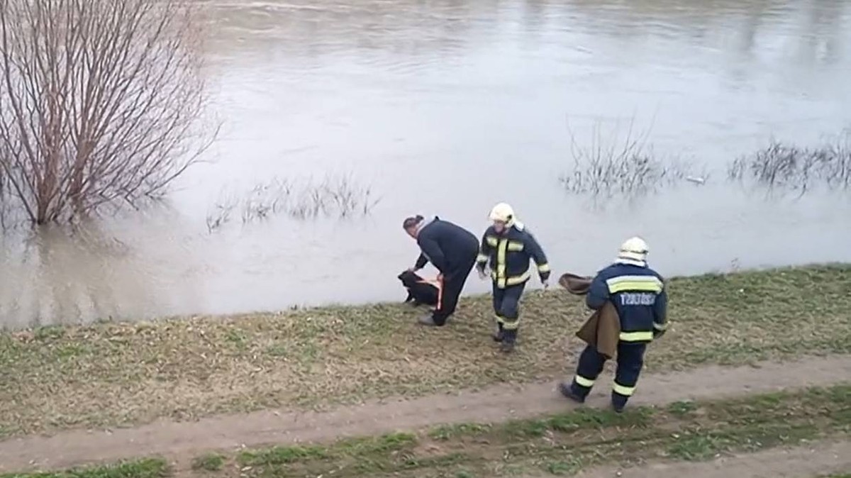 A Tiszából mentettek ki egy rémült, nyüszítő kutyát – videó