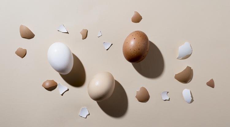 Kutatások szerint pedig a tojáshéjból származó kalcium remekül szívódik fel az emberi szervezetben / Illusztráció: Freepik