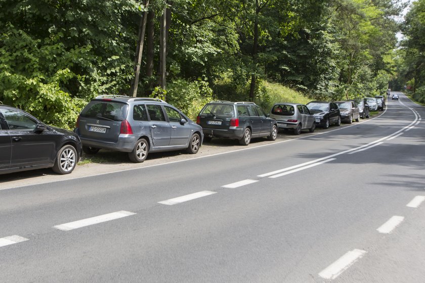 Gdzie zaparkować na Strzeszynku?