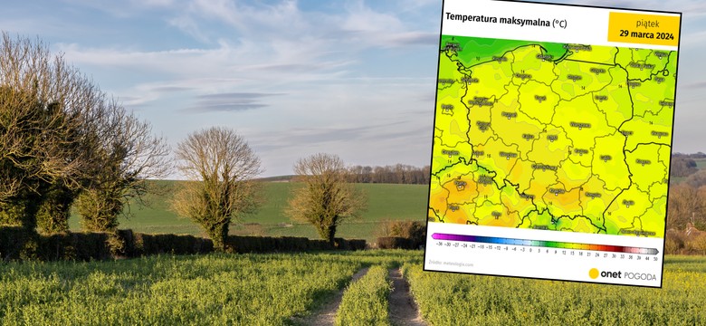 Wiosna zacznie się dziś szybko rozpędzać. W dwóch miastach możliwe 20 st. C