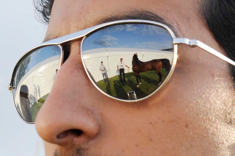 Aukcja jest jej niezwykle emocjonującym fragmentem. Ostra walka o upatrzone konie to widowisko dla wszystkich obecnych