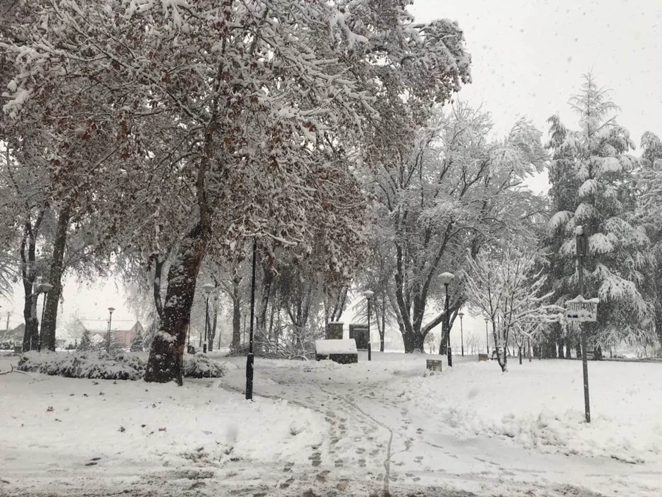 Sneg u Beogradu
