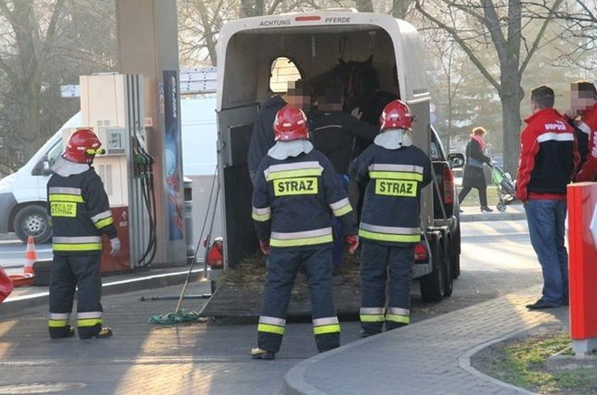 Strażacy uwolnili konia z pułapki