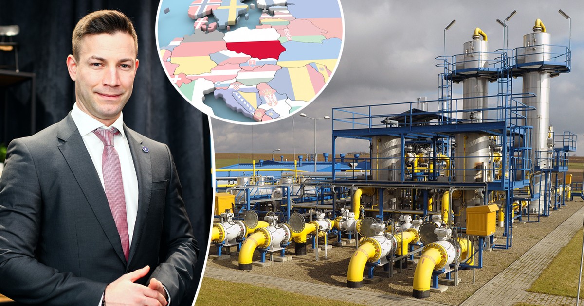 Polska "drugimi Niemcami"? Możemy zostać istotnym graczem. Ekspert o "gazowym hubie" w regionie