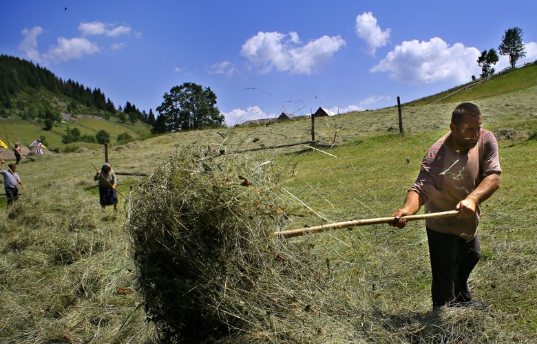 Krajobrazy w wiosce Magura w rumuńskiej Transylwanii