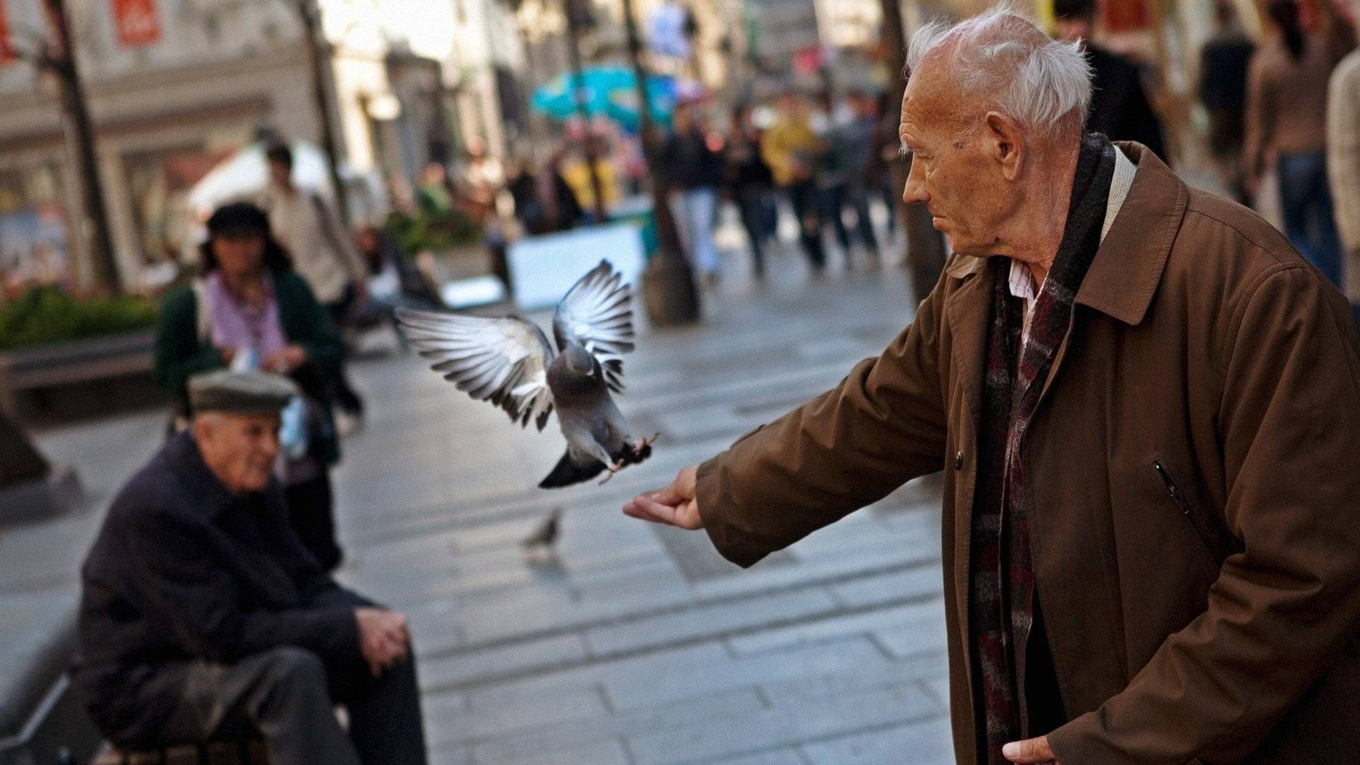 7 lepih vesti iz Srbije da vam ulepšaju najdepresivniji dan u godini