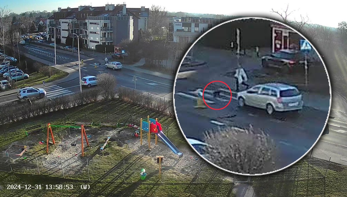 Vroçlavda Piyada Keçidində Sürücü Iti Öldürdü və Qaçdı