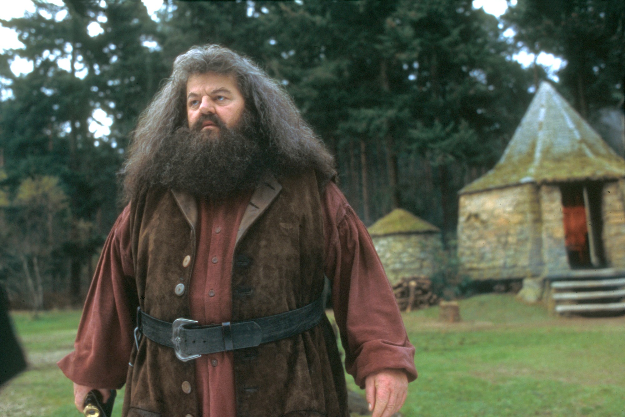 Hagrid