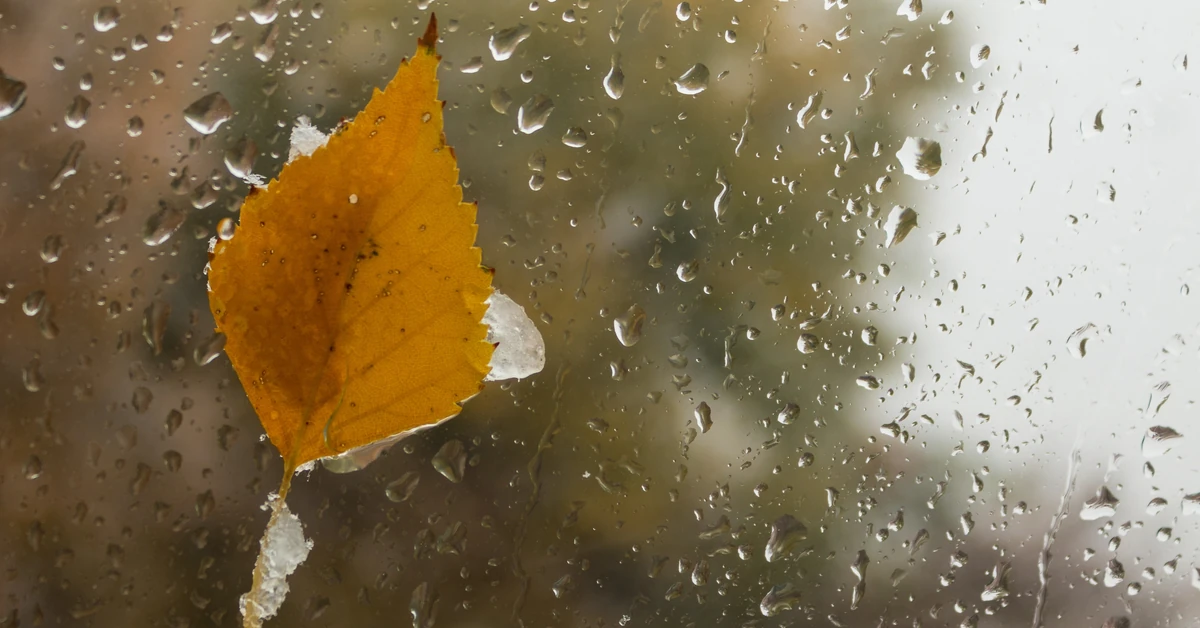 Deszcz ze śniegiem. Gdzie konkretnie? Prognoza pogody na niedzielę, 26 października