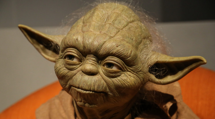 Yoda maszkot viselt a támadó /Fotó: Nortfoto