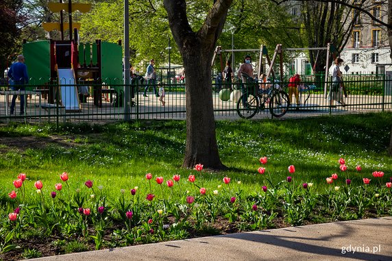 Park Centralny w Gdyni w kolorowej odsłonie [ZDJĘCIA]