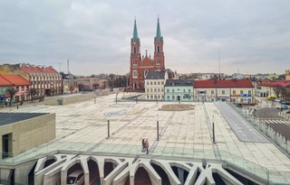 Wycinaj, betonuj, sadź. Zieleń miejska znika w zastraszającym tempie