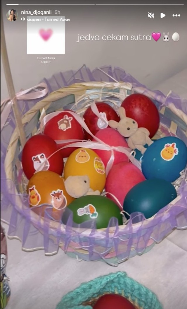 Nina Đogani (Foto: Instagram/nina_djoganii)