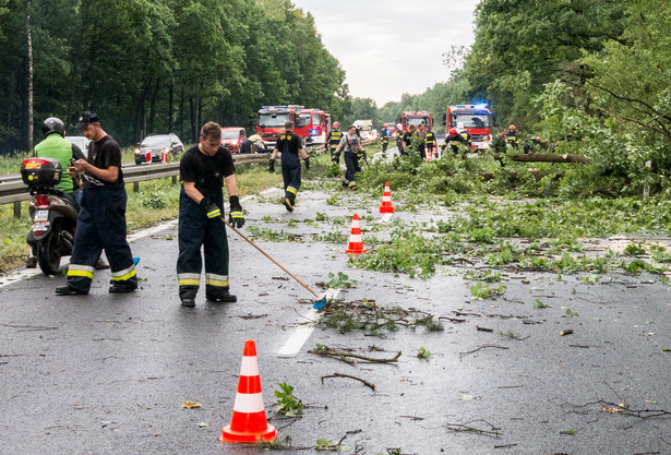 Strażacy usuwają powalone drzewa z drogi krajowej nr 1 w Piasku (woj. śląskie)