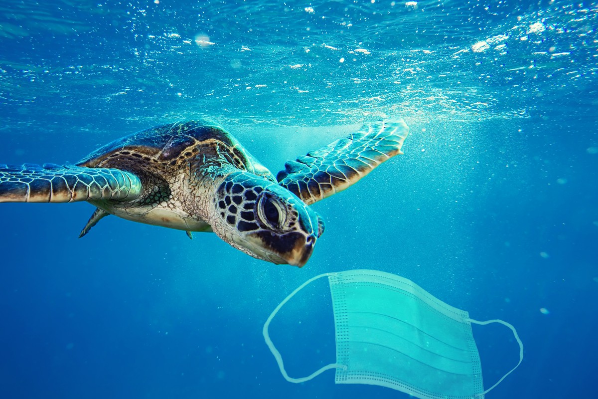 Zrobione z włókien sztucznych maseczki rozpadają się, tworząc mikroplastik, który następnie nie tylko zanieczyszcza środowisko, ale i jest zjadany przez żyjące tam zwierzęta.