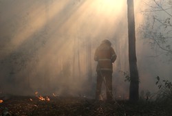 Turyści uciekają przed ogniem. Pożar trawi wyspę. WIDEO