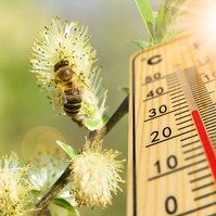 Orvosmeteorológia: intenzív tünetekre számíthatnak az allergiások