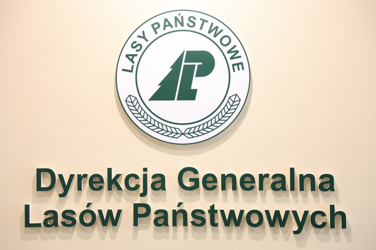 Miliony dla parafii polityków i swoich mediów. Są wstępne wyniki audytu w Lasach Państwowych