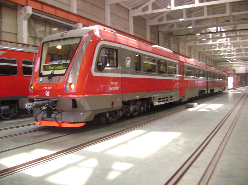 Na pojedinim deonicima u Srbiji vozovi, koji inače dostižu 160 km/h, ići će svega 20 na sat