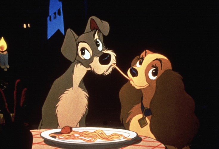 9. 'Zakochany kundel'