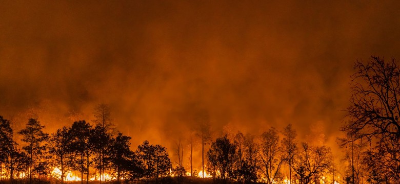 Katastrofalna sytuacja w turystycznym raju. Polacy uwięzieni na wyspie