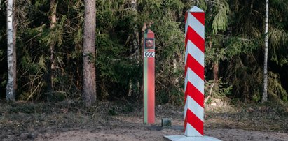 Chcieli zrobić takie zdjęcie, gorzko tego pożałują