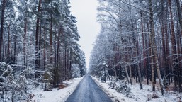 pojechali z trójką dzieci na całą noc do lasu. w samochodzie brak ciep