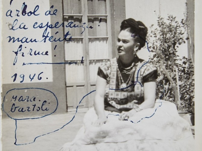 90111_frida