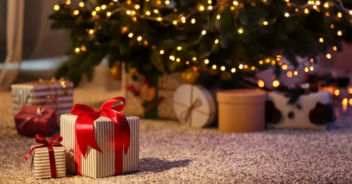 無料のクリスマスイブ。議会の委員会がプロジェクトを支援した
