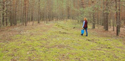 Szukała grzybów, znalazła ludzką czaszkę. Makabryczne odkrycie na Podkarpaciu