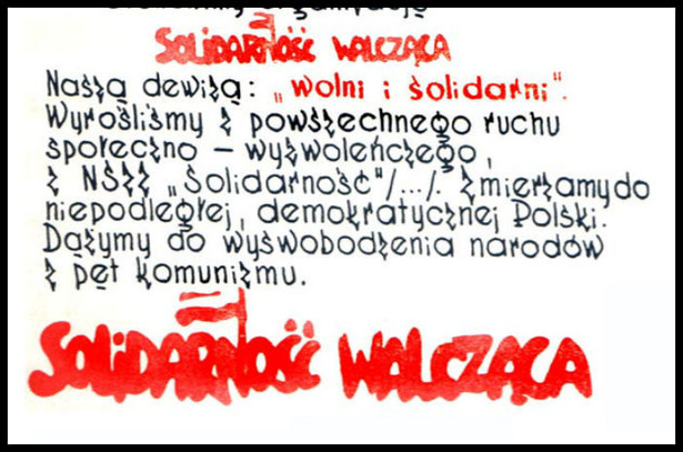 Szef IPN Jarosław Szarek mówił: "Solidarność Walcząca wróciła do głównego nurtu naszej pamięci, choć przez lata jej działacze byli zepchnięci na margines – Solidarność Walcząca nie miała złudzeń, czym jest komunizm. Nie chciała porozumienia z komunistyczną władzą, chciała komunistów tej władzy pozbawić. Ludzie Solidarności Walczącej chcieli osiągnąć to, walcząc razem z innymi narodami zniewolonego Związku Sowieckiego" - podkreślił Szarek.