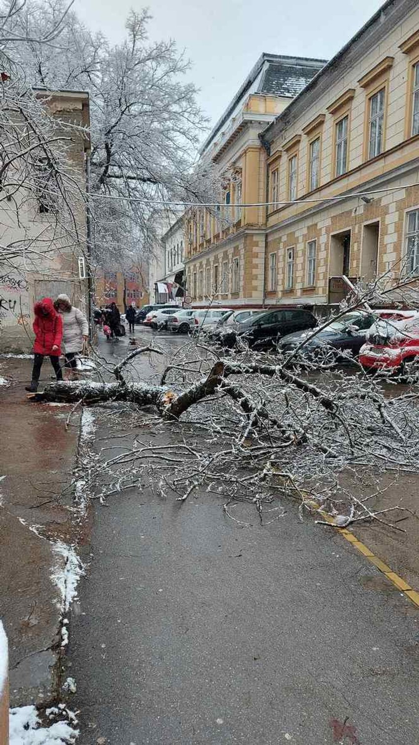 Stabla i bandere se obrušavaju po Subotici