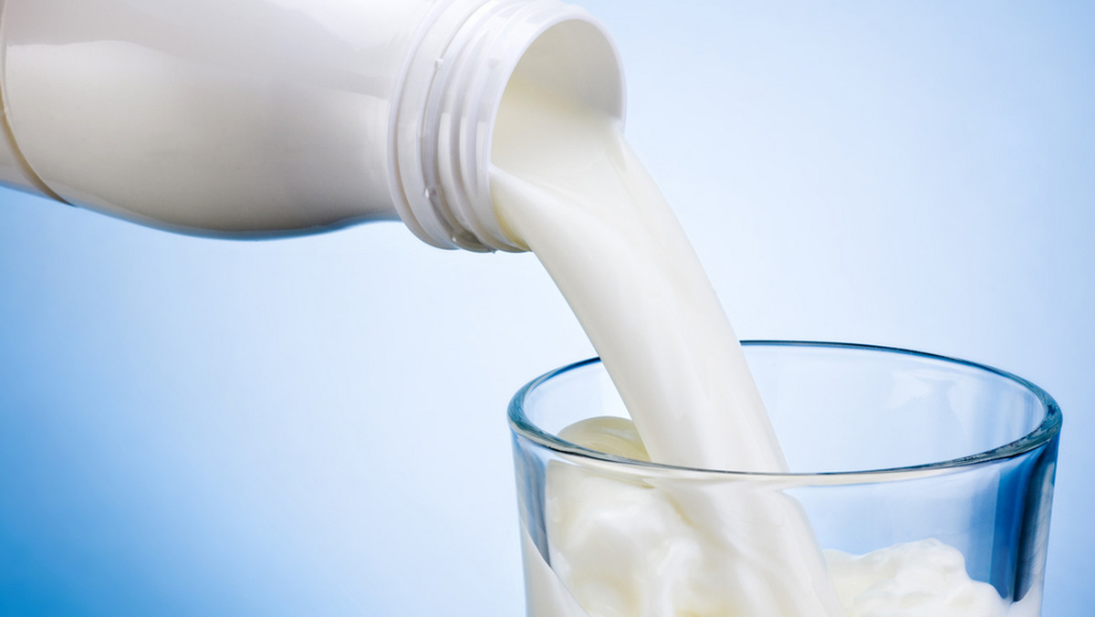Picie odtłuszczonego mleka nie tylko nie odchudza, ale może szkodzić zdrowiu – twierdzi David Ludwig z Uniwersytetu Harvarda, kwestionując tym samym jedno z najbardziej popularnych za Oceanem zaleceń dietetycznych: w codziennej diecie obowiązkowo muszą znaleźć się trzy szklanki niskotłuszczowego mleka. Zdaniem naukowca częste picie mleka może przyczynić się m.in. do cukrzycy i chorób serca. Artykuł na ten temat uczony opublikował w "Journal of the American Medical Associaton Pediatrics". Jak uzasadnia szkodliwość "chudego" mleka?