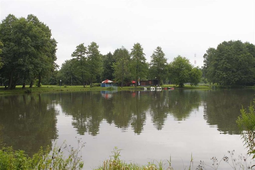 Budują tylko na papierze