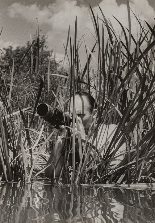 Polski sir David Attenborough. Włodzimierz Puchalski i jego wyjątkowy świat przyrody