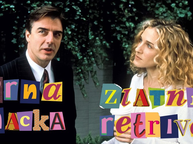 Crna mačka i zlatni retriver?