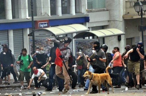 Protestujący pies z Grecji